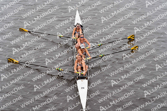 CHD04719