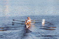 CHF06529