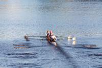 CHF06531