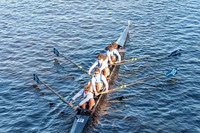 CHF06637