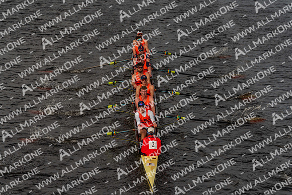 CHF09461