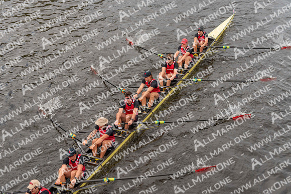 CHF09810
