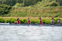NCM01385