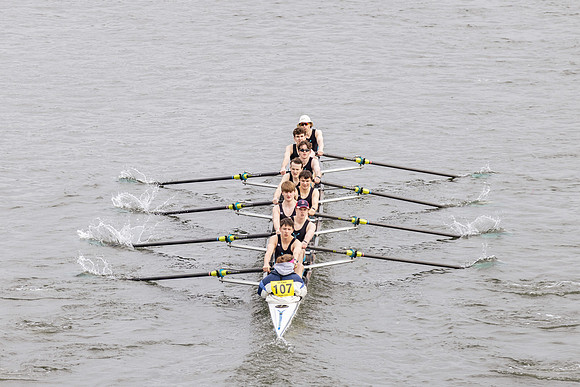 HORR3119
