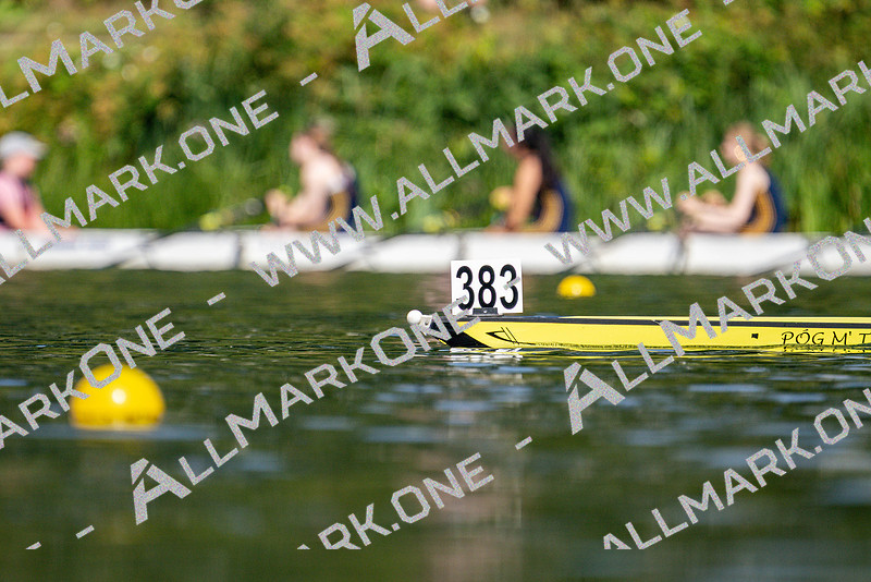 AllMarkOne | W J15 1x