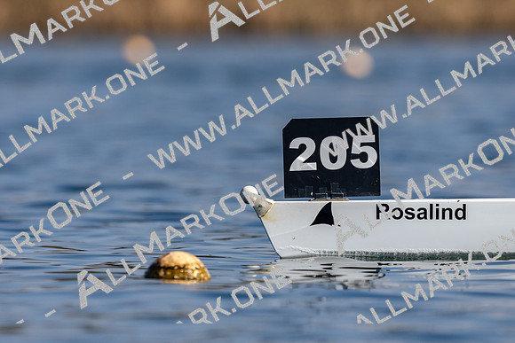 AAA03350