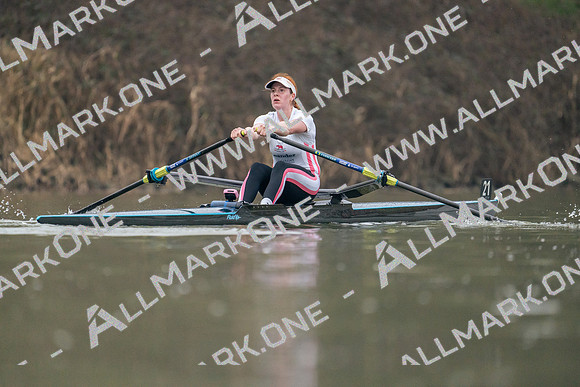 GBF05206