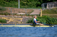 NCM08862