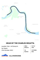61x91cm poster (1)