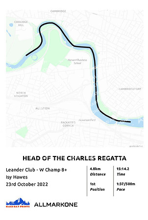 61x91cm poster (1)