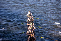 HORR1036