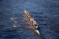 HORR1663
