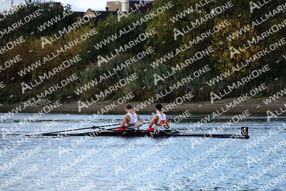 AMO_ADH_Pairs Head 2020_04026