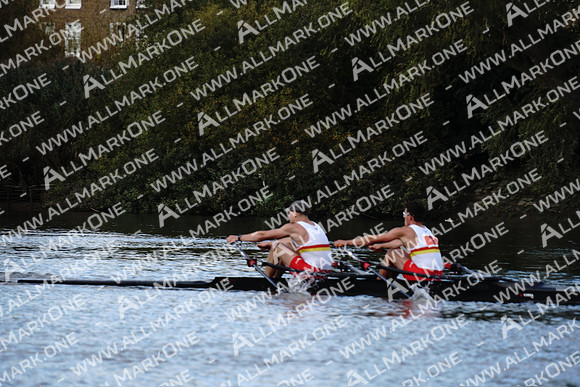 AMO_ADH_Pairs Head 2020_04028