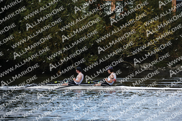 AMO_ADH_Pairs Head 2020_04037