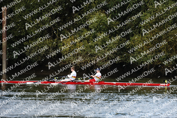 AMO_ADH_Pairs Head 2020_04045