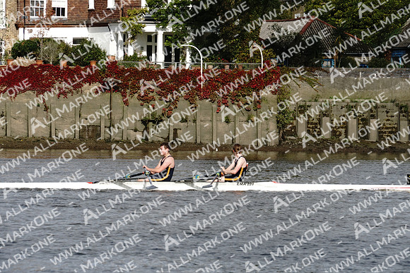 AMO_ADH_Pairs Head 2020_04112