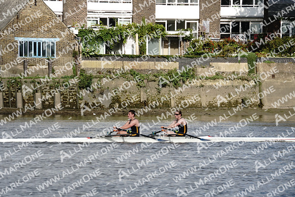 AMO_ADH_Pairs Head 2020_04114