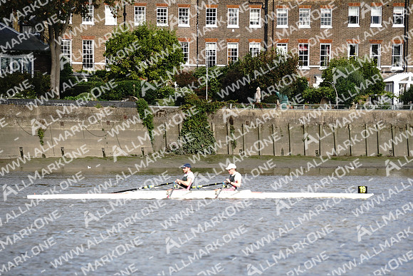 AMO_ADH_Pairs Head 2020_04171