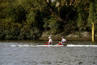 AMO_ADH_Pairs Head 2020_04230