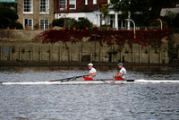 AMO_ADH_Pairs Head 2020_04236