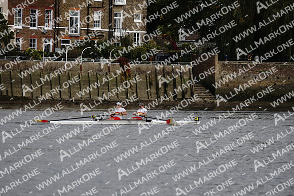 AMO_ADH_Pairs Head 2020_04244