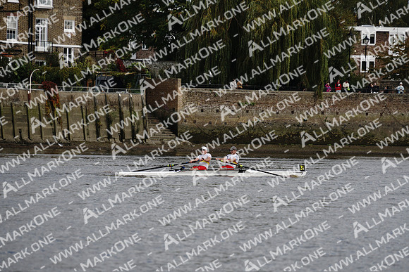 AMO_ADH_Pairs Head 2020_04245