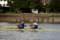 AMO_ADH_Pairs Head 2020_04248