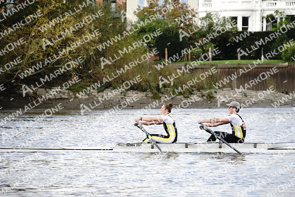 AMO_ADH_Pairs Head 2020_04388