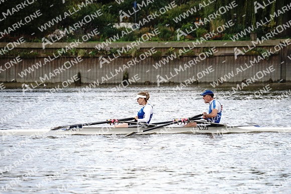 AMO_ADH_Pairs Head 2020_04395