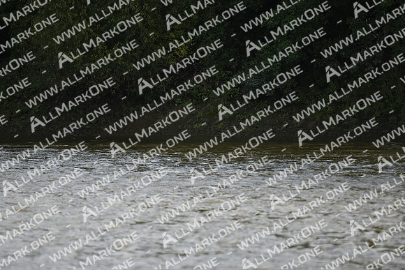AMO_LMD_Pairs Head 2020_192