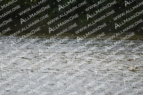 AMO_LMD_Pairs Head 2020_194