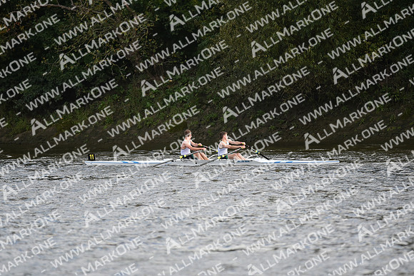 AMO_LMD_Pairs Head 2020_209