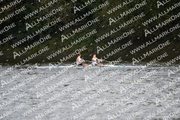 AMO_LMD_Pairs Head 2020_210