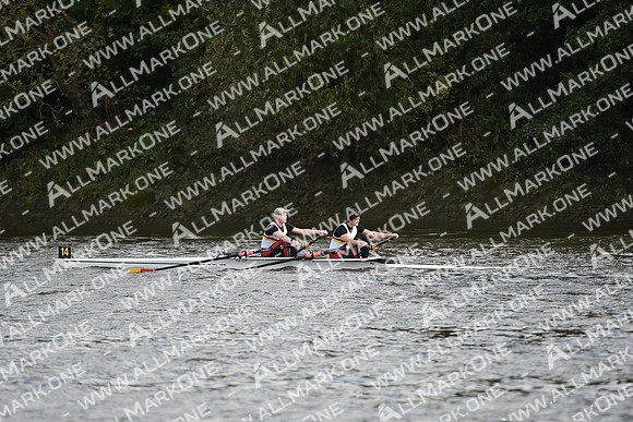 AMO_LMD_Pairs Head 2020_214