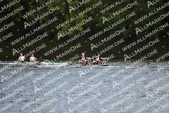 AMO_LMD_Pairs Head 2020_226