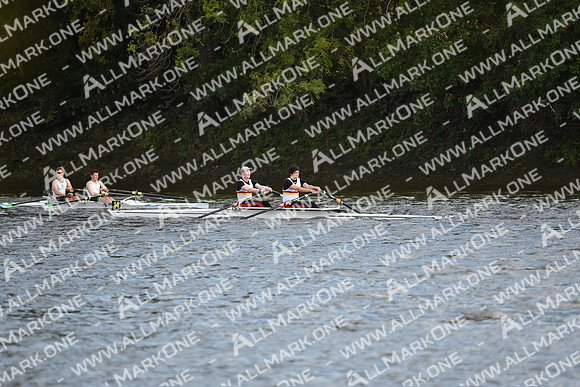 AMO_LMD_Pairs Head 2020_229