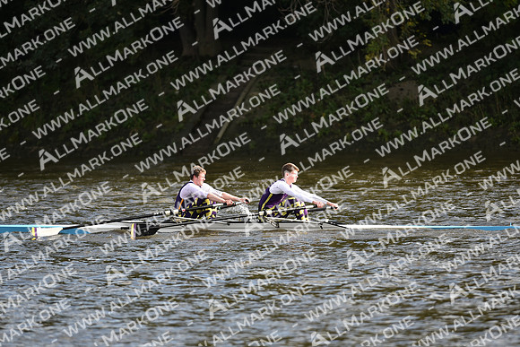 AMO_LMD_Pairs Head 2020_327