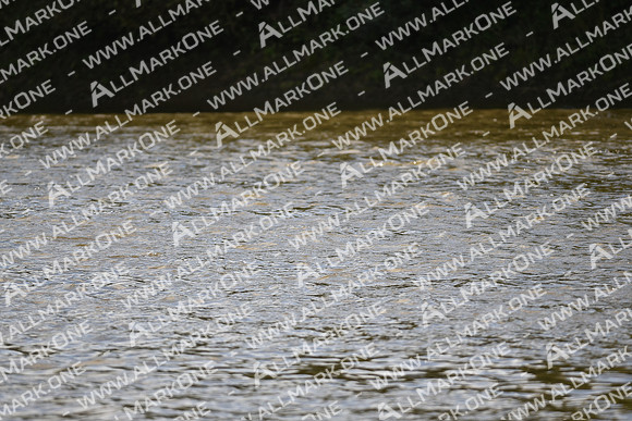 AMO_LMD_Pairs Head 2020_354