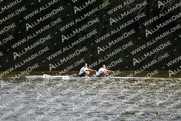 AMO_LMD_Pairs Head 2020_393