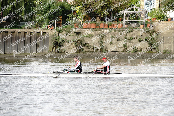 AMO_ADH_Pairs Head 2020_04592