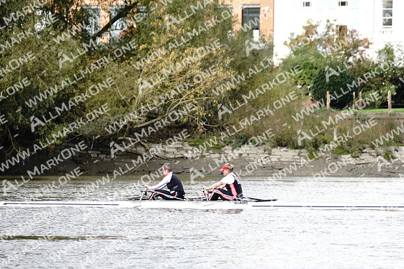 AMO_ADH_Pairs Head 2020_04588