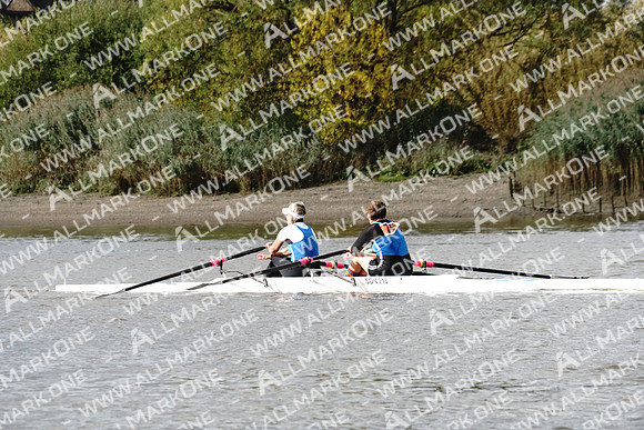 AMO_ADH_Pairs Head 2020_04598