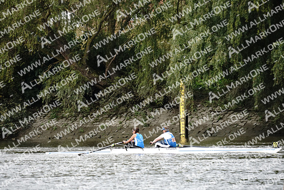 AMO_ADH_Pairs Head 2020_04734