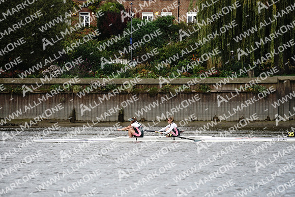 AMO_ADH_Pairs Head 2020_04775