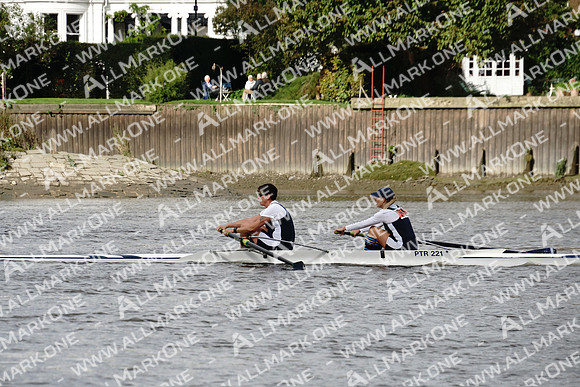 AMO_ADH_Pairs Head 2020_04790