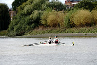 Chiswick Eyot