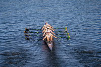 HC302813