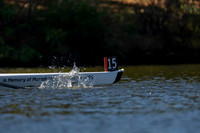 HCR08629