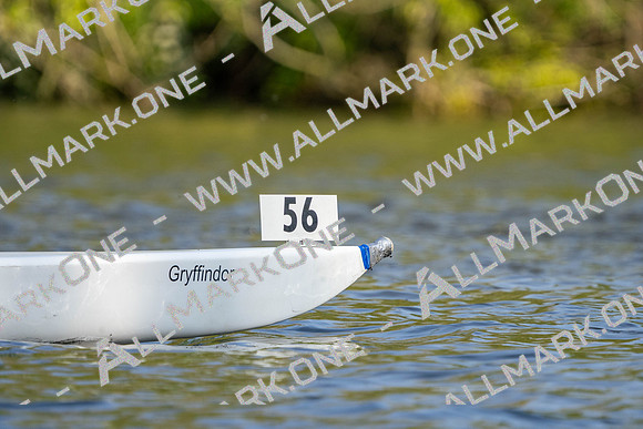 CCF01915